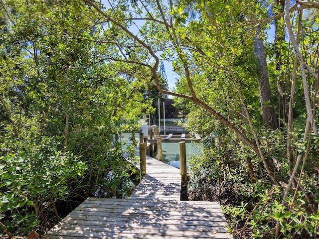 dock area featuring boat lift