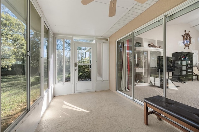 sunroom / solarium featuring a wealth of natural light and ceiling fan