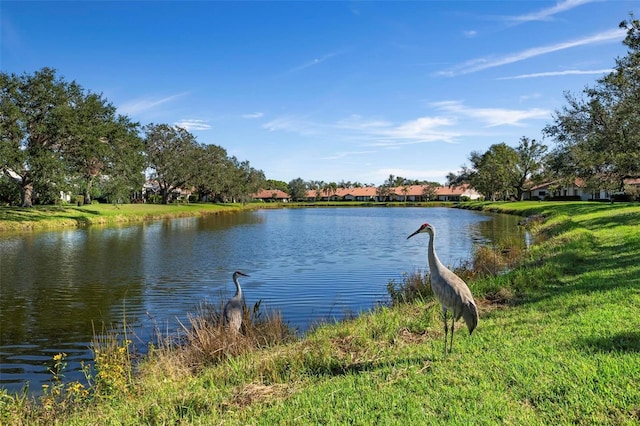 water view