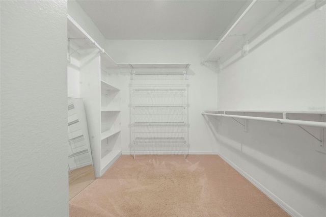 spacious closet with light carpet