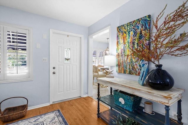 foyer with wood-type flooring