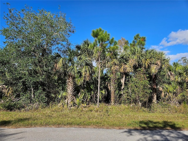 13164 Arizona Ave, Port Charlotte FL, 33953 land for sale