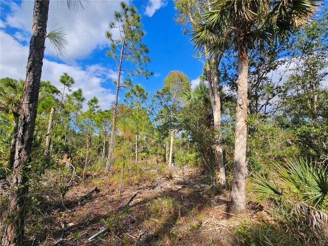 13164 Arizona Ave, Port Charlotte, FL 33953