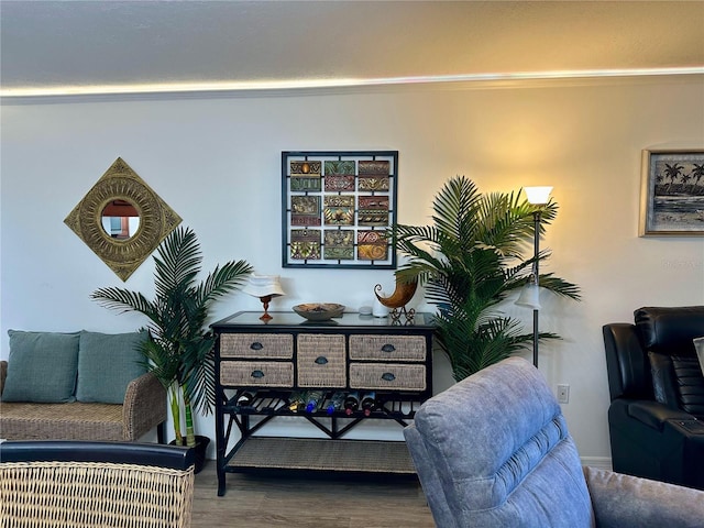 sitting room with hardwood / wood-style floors