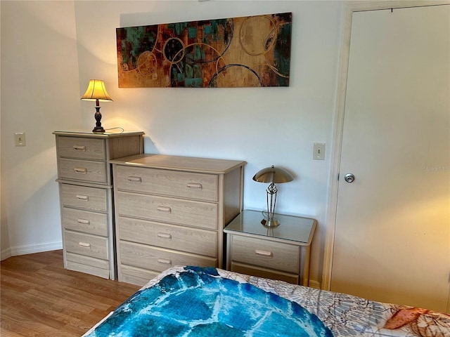 bedroom featuring wood-type flooring