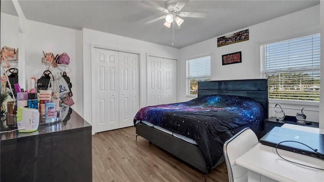 bedroom featuring multiple windows, ceiling fan, wood-type flooring, and multiple closets