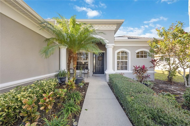 doorway to property featuring covered porch and stucco siding