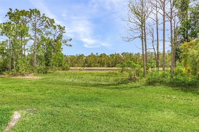 view of yard