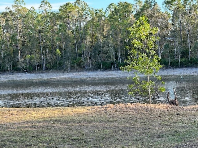 view of water feature