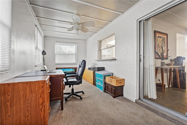 carpeted home office featuring a textured wall and a ceiling fan