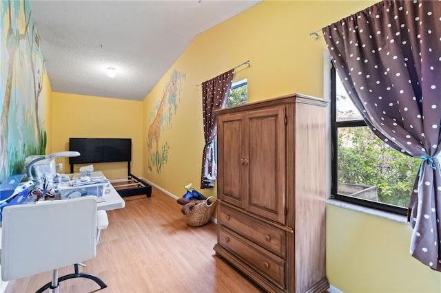 office area featuring a textured ceiling, vaulted ceiling, light hardwood / wood-style flooring, and a healthy amount of sunlight