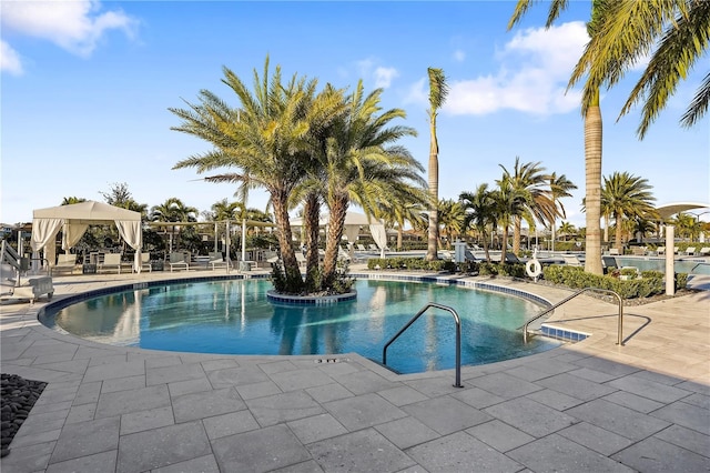 view of pool featuring a patio