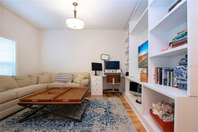 living room featuring hardwood / wood-style floors