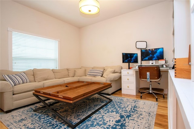 living room featuring light hardwood / wood-style floors