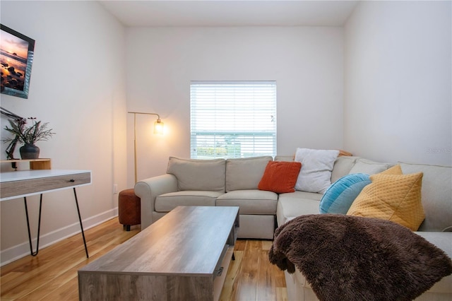 living room featuring light wood-type flooring