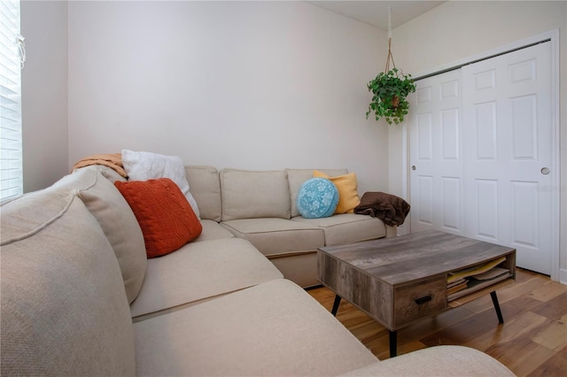 living room with wood-type flooring