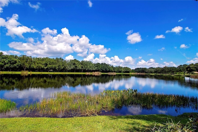 property view of water