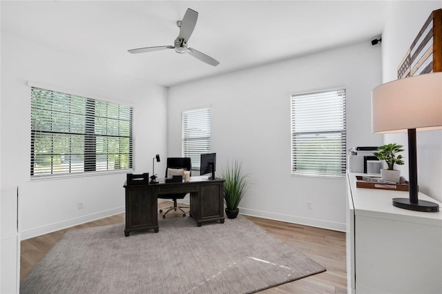 office with plenty of natural light, ceiling fan, and light hardwood / wood-style flooring