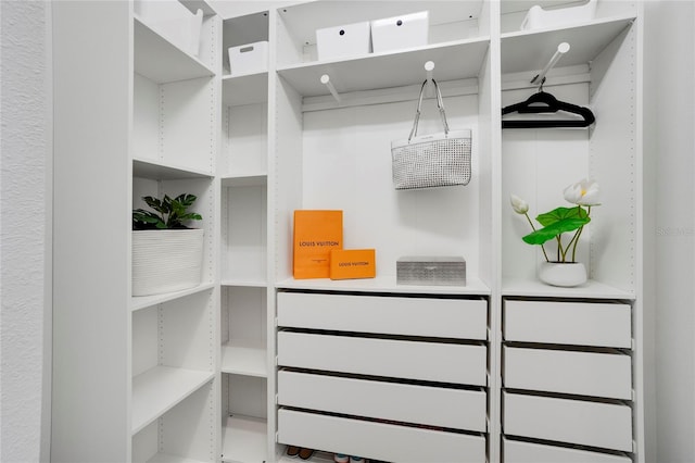 13126 Indigo Way, Bradenton, FL 34211 - view of walk in closet