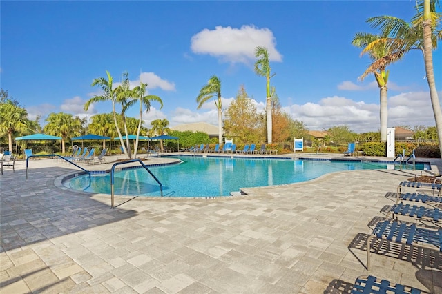 view of swimming pool featuring a patio area