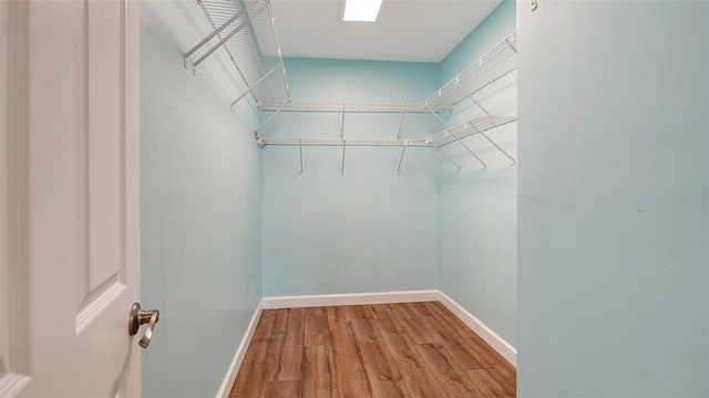 walk in closet with hardwood / wood-style flooring