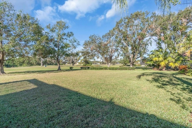 view of yard