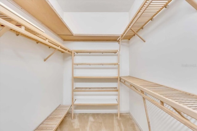 spacious closet with carpet flooring