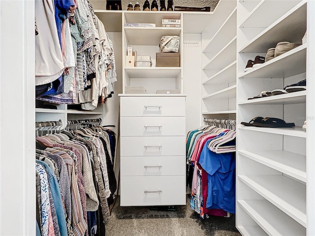 view of spacious closet