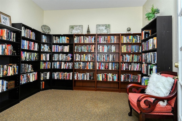 living area featuring carpet floors