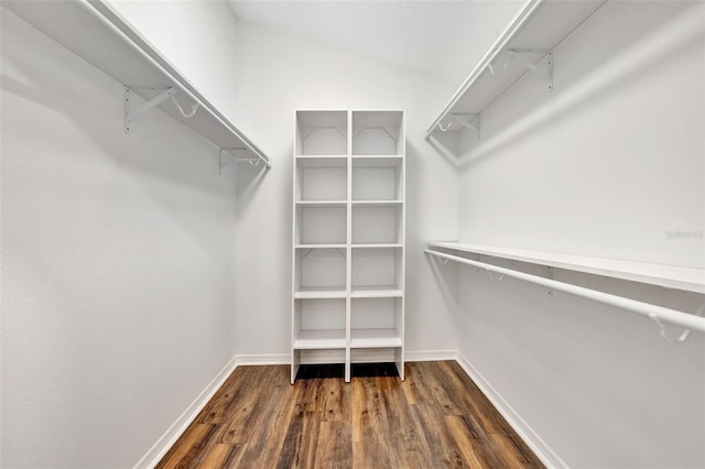 spacious closet featuring lofted ceiling and dark wood-type flooring