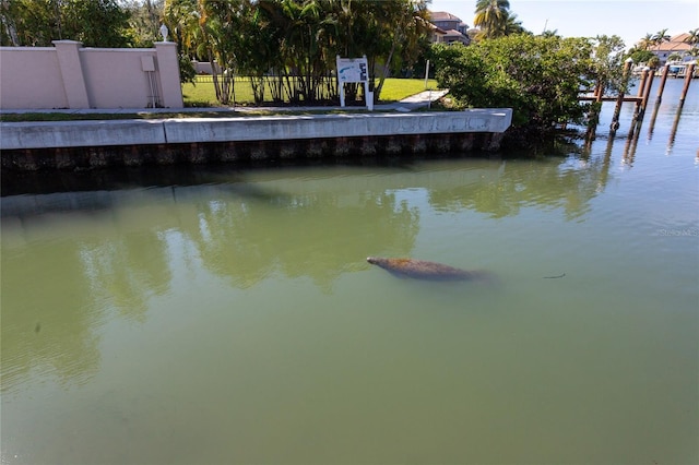 1709 N Tamiami Trl Unit 212, Sarasota, FL 34234 - photo 34