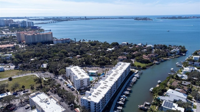 aerial view with a water view