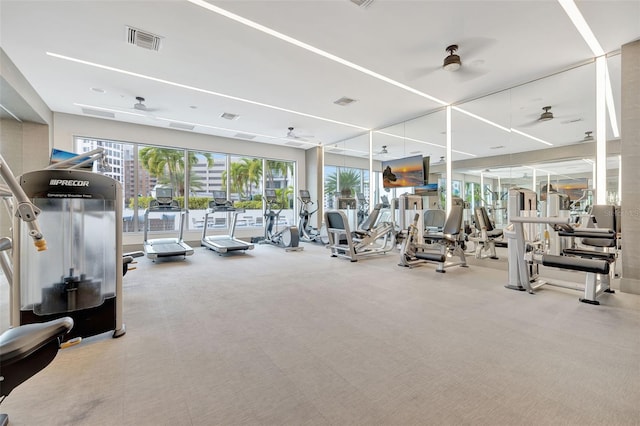 workout area featuring carpet flooring