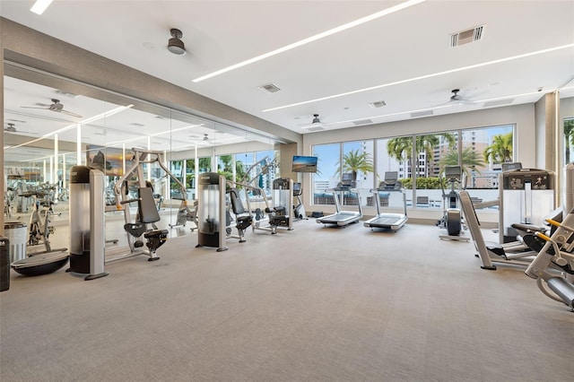 gym featuring ceiling fan