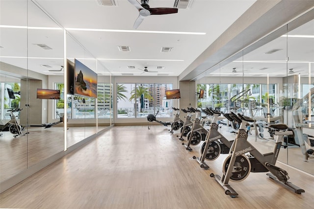 gym featuring light hardwood / wood-style floors and ceiling fan