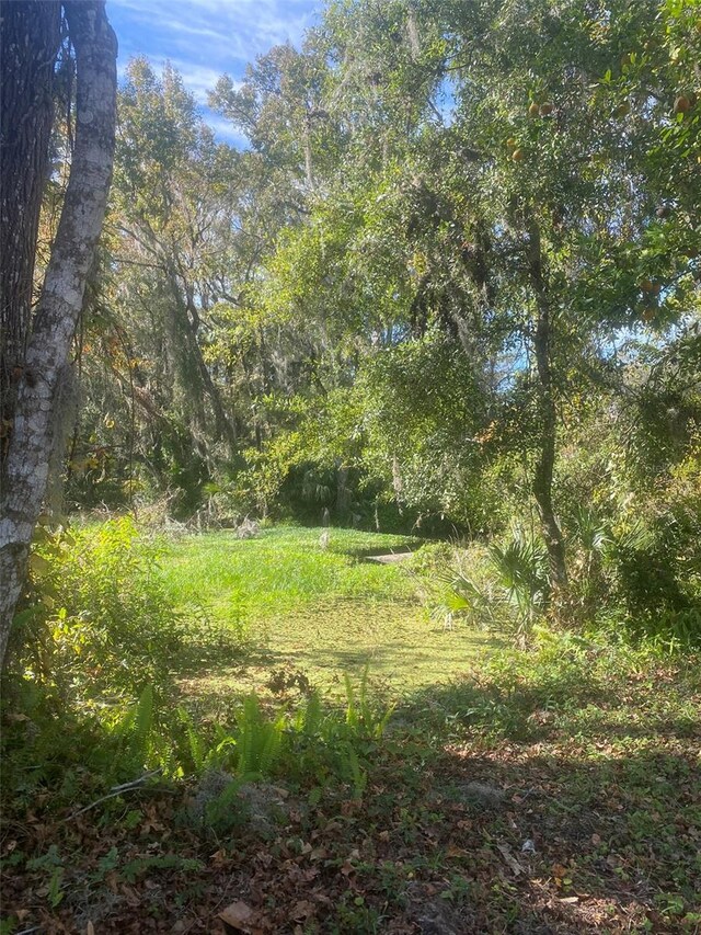 7257 S Eastlake Dr, Floral City, FL 34436 - photo 63