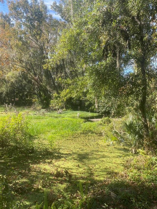 7257 S Eastlake Dr, Floral City, FL 34436 - photo 64