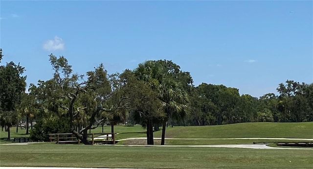 view of home's community with a yard