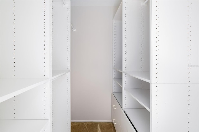 spacious closet featuring carpet