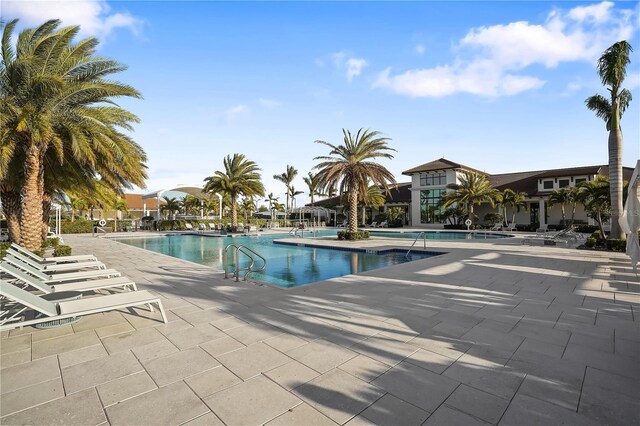 view of pool featuring a patio