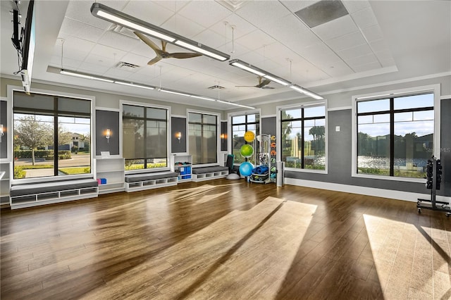 workout area with a raised ceiling, ceiling fan, and dark hardwood / wood-style flooring