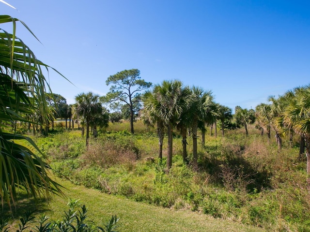 view of local wilderness featuring a rural view