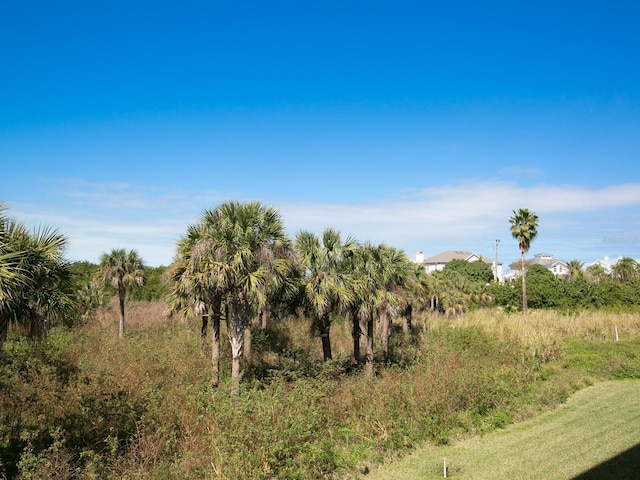 view of nature featuring a rural view