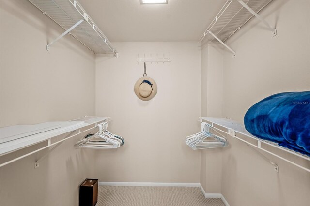 spacious closet with carpet floors