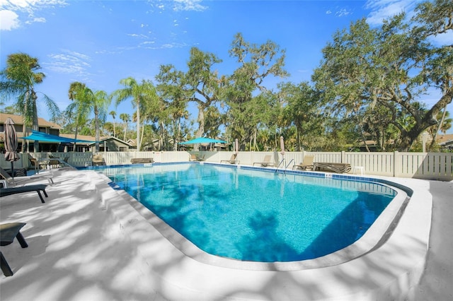 view of swimming pool featuring a patio area