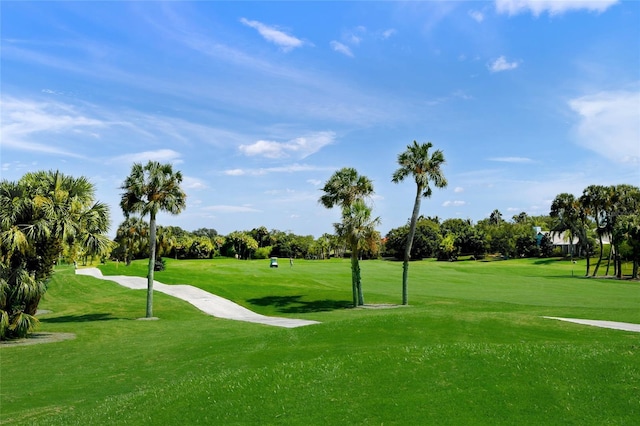 surrounding community featuring a yard