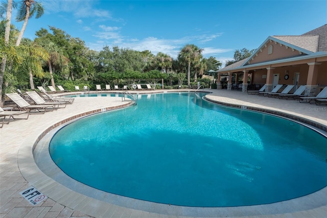 view of swimming pool with a patio