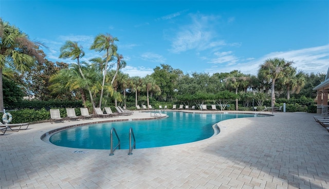 view of swimming pool with a patio