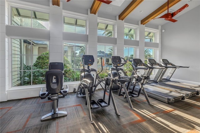 workout area with a wealth of natural light and a high ceiling