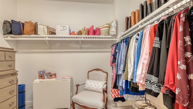 walk in closet with carpet flooring